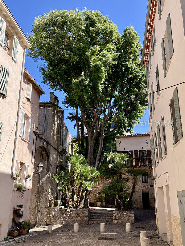 法国- Côte d 'Azur - Antibes -老城区的小街